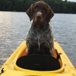 Photo Safety Assistant