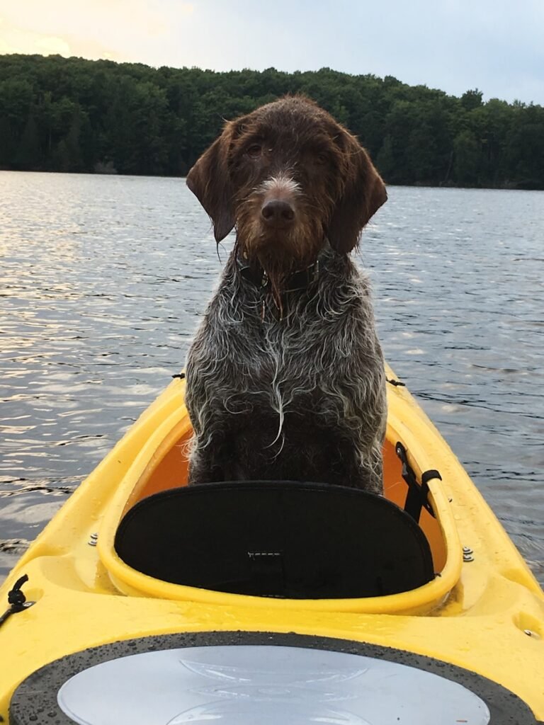 Photo Safety Assistant